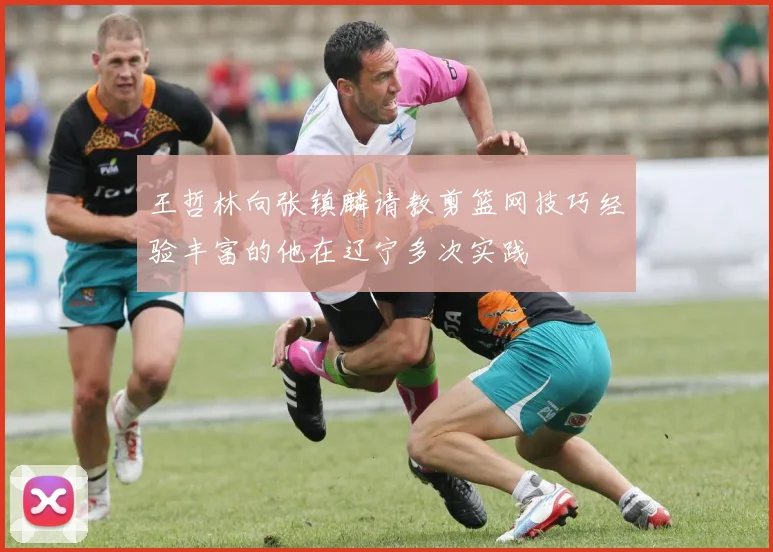 王哲林向张镇麟请教剪篮网技巧经验丰富的他在辽宁多次实践